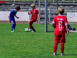 Hillen Cup 2024